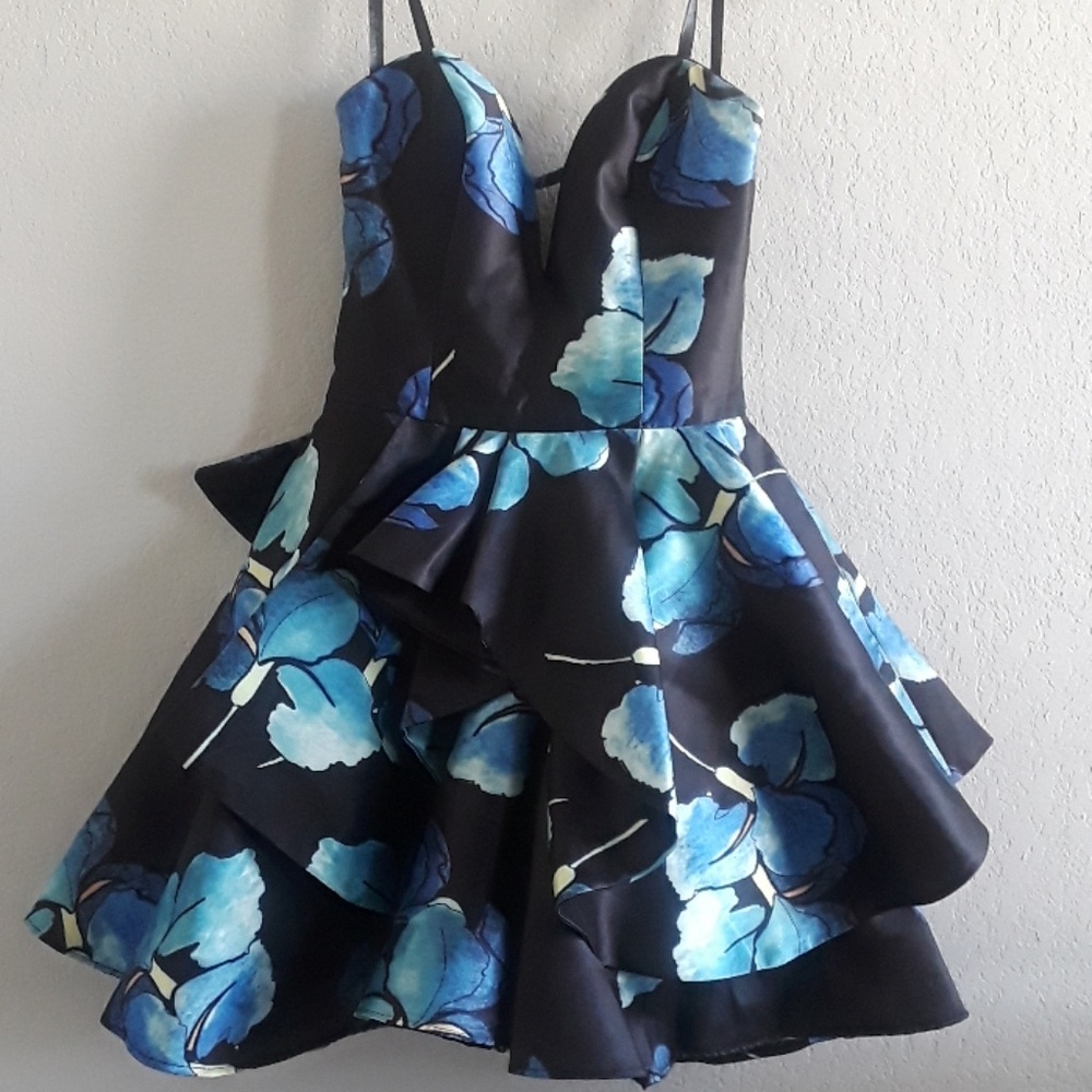Rachel Allan  dress